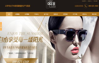 廣州中視眼鏡營銷型網站建設案例 構建線上視力健康門戶，驅動眼鏡銷售增長